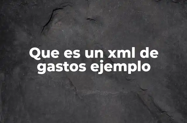 Que es un Xml de Gastos Ejemplo 2 La importancia de estructurar los gastos en formato XML