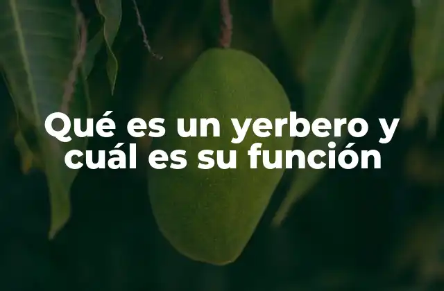Qué es un Yerbero y Cuál es Su Función