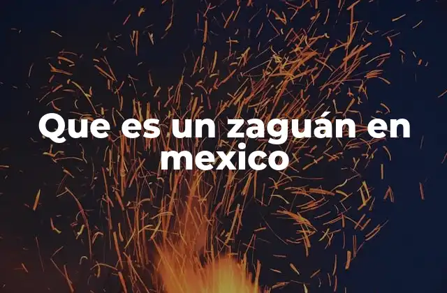 El zaguán como parte esencial de la arquitectura tradicional mexicana