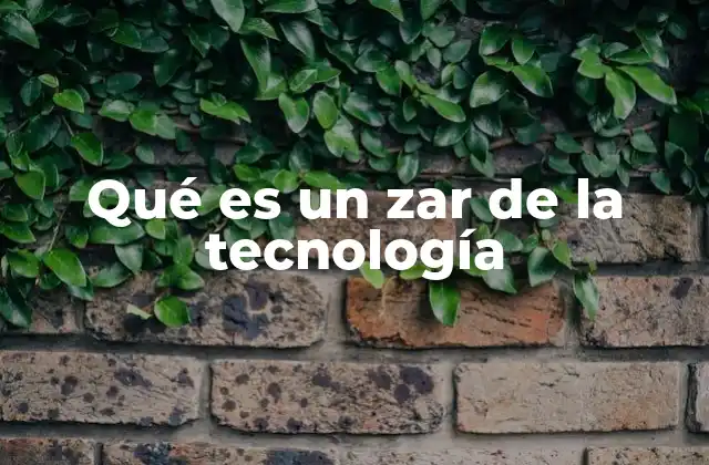 Qué es un Zar de la Tecnología
