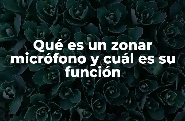 Qué es un Zonar Micrófono y Cuál es Su Función