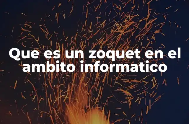 Que es un Zoquet en el Ambito Informatico