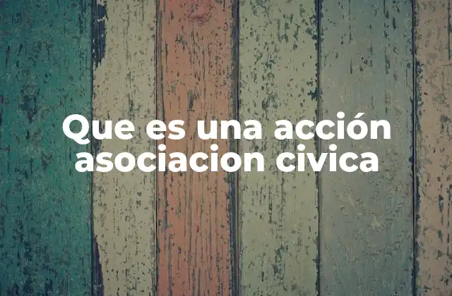 Que es una Acción Asociacion Civica