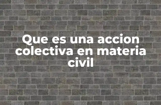 Que es una Accion Colectiva en Materia Civil
