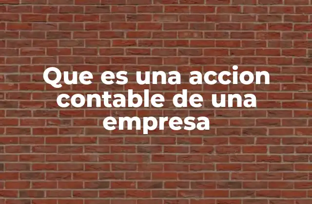 Que es una Accion Contable de una Empresa
