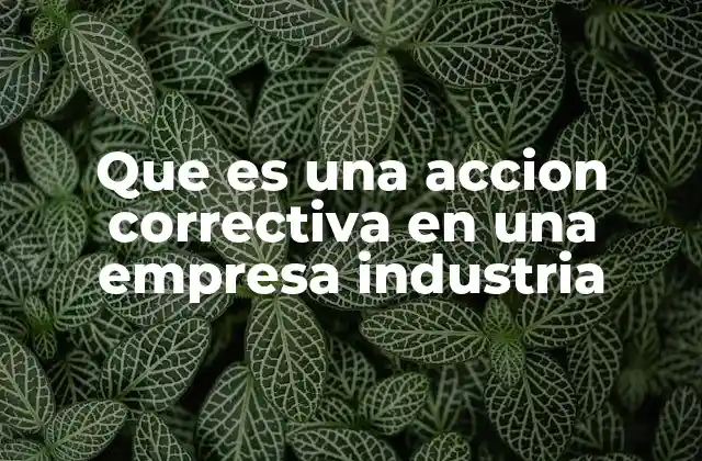 Que es una Accion Correctiva en una Empresa Industria