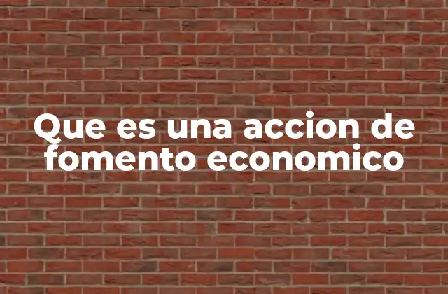 Que es una Accion de Fomento Economico