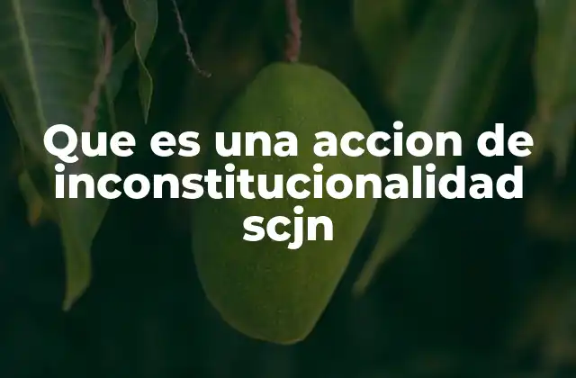 Que es una Accion de Inconstitucionalidad Scjn