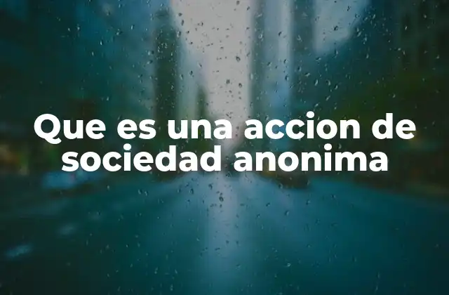 Que es una Accion de Sociedad Anonima