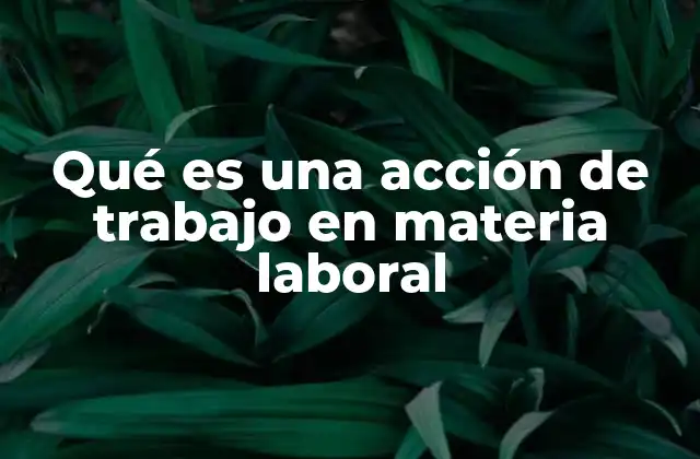 Qué es una Acción de Trabajo en Materia Laboral