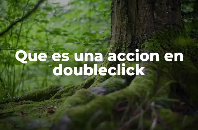 Que es una Accion en Doubleclick