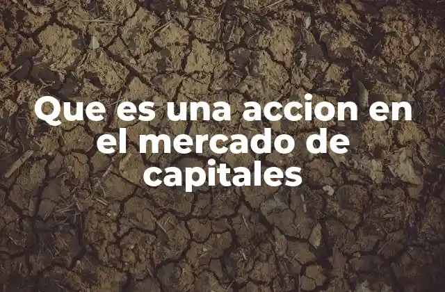 Que es una Accion en el Mercado de Capitales