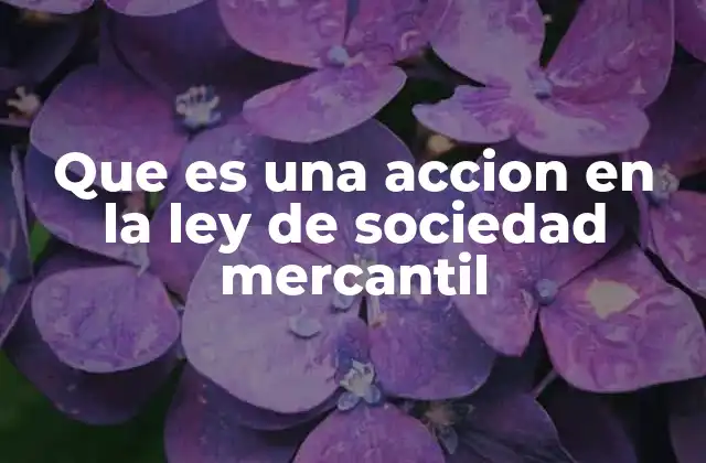 Que es una Accion en la Ley de Sociedad Mercantil