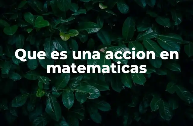 Que es una Accion en Matematicas
