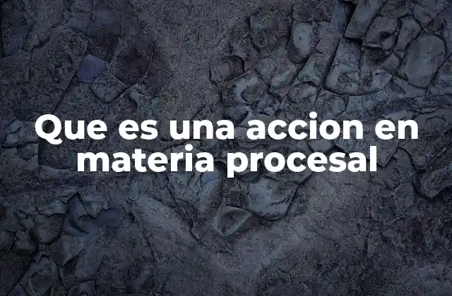 Que es una Accion en Materia Procesal