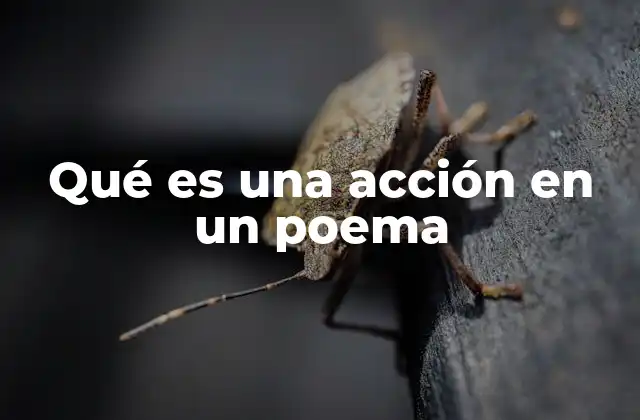 Qué es una Acción en un Poema
