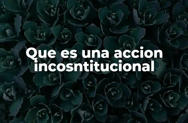 Que es una Accion Incosntitucional