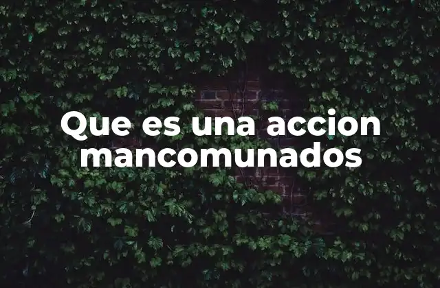 Que es una Accion Mancomunados