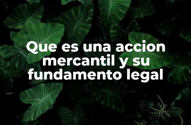 Que es una Accion Mercantil y Su Fundamento Legal