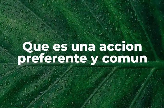 Que es una Accion Preferente y Comun