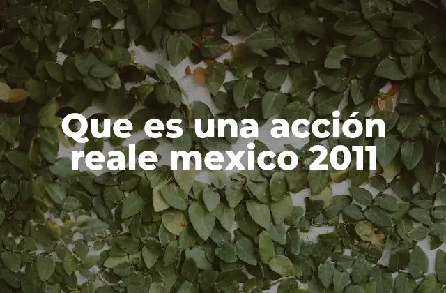 Que es una Acción Reale Mexico 2011