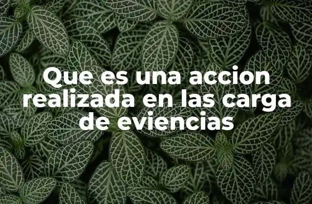 Que es una Accion Realizada en las Carga de Eviencias