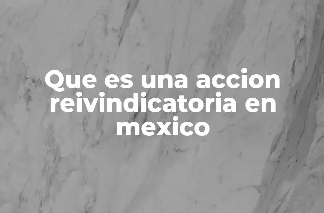 Que es una Accion Reivindicatoria en Mexico 2 La importancia de proteger derechos de propiedad