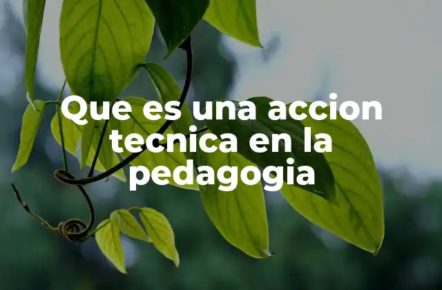 Que es una Accion Tecnica en la Pedagogia