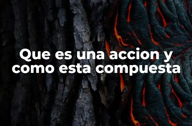 La estructura básica de una acción y sus elementos clave