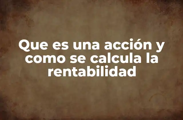 Que es una Acción y como Se Calcula la Rentabilidad