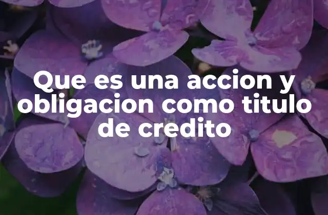 Que es una Accion y Obligacion como Titulo de Credito