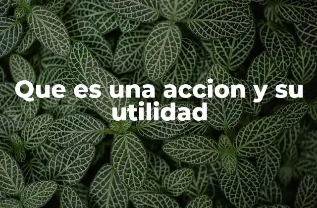 Que es una Accion y Su Utilidad