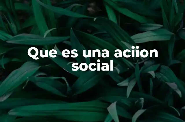 Que es una Aciion Social