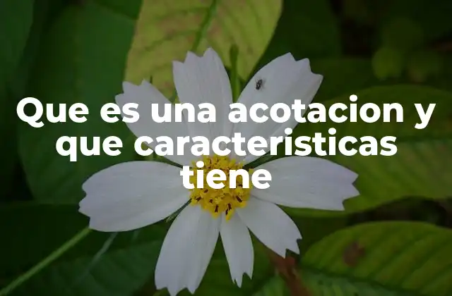 Que es una Acotacion y que Caracteristicas Tiene