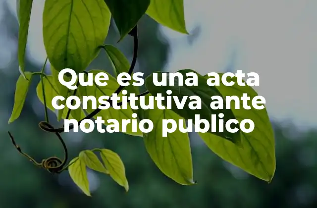 Que es una Acta Constitutiva ante Notario Publico