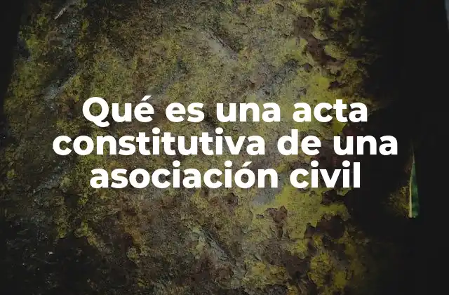 Qué es una Acta Constitutiva de una Asociación Civil