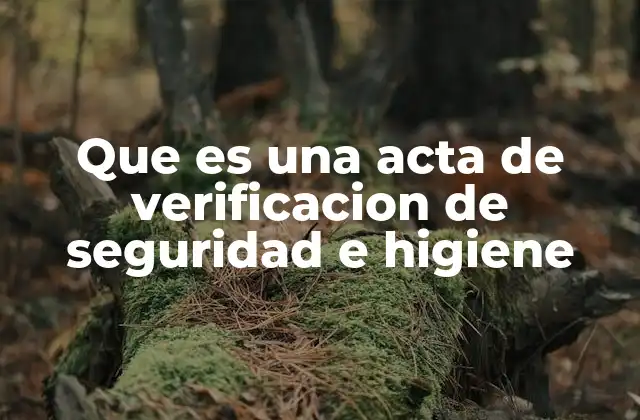 Que es una Acta de Verificacion de Seguridad e Higiene