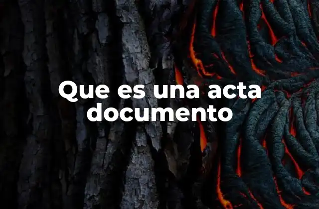 Que es una Acta Documento