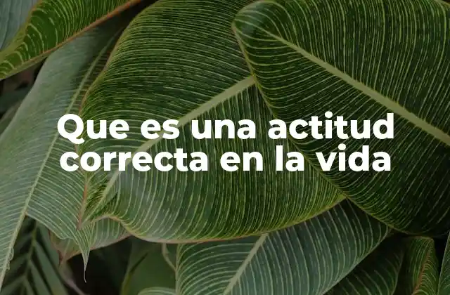Que es una Actitud Correcta en la Vida