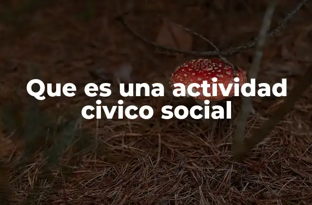 Que es una Actividad Civico Social