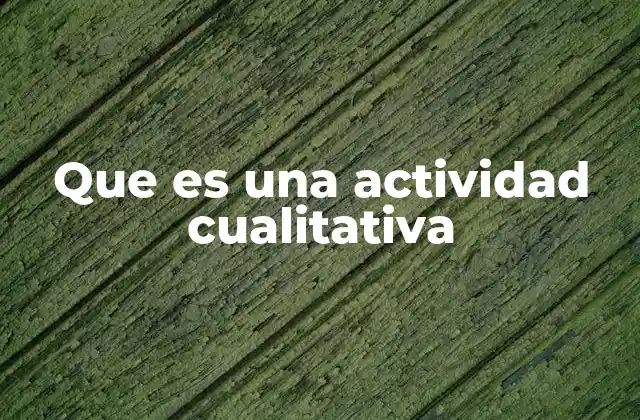 Que es una Actividad Cualitativa 2 La importancia de la investigación cualitativa en distintos campos
