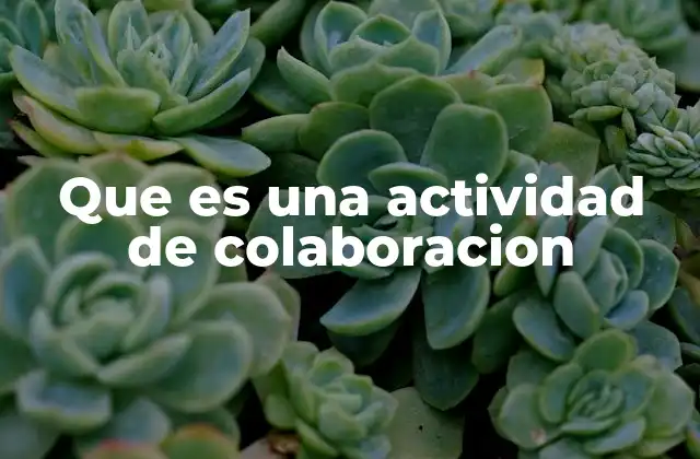 Que es una Actividad de Colaboracion