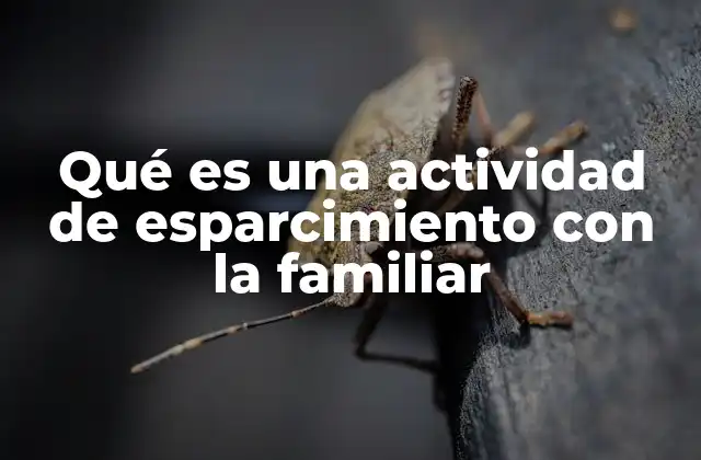 Qué es una Actividad de Esparcimiento con la Familiar
