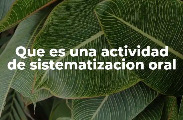 Que es una Actividad de Sistematizacion Oral