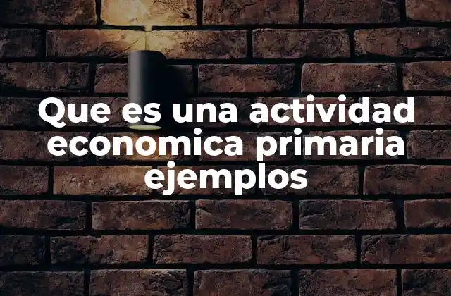 El papel de las actividades económicas primarias en la economía global