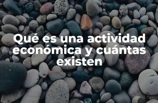 Qué es una Actividad Económica y Cuántas Existen