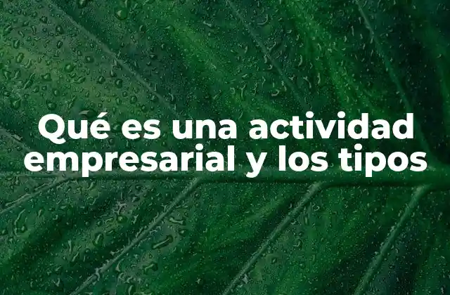 Qué es una Actividad Empresarial y los Tipos