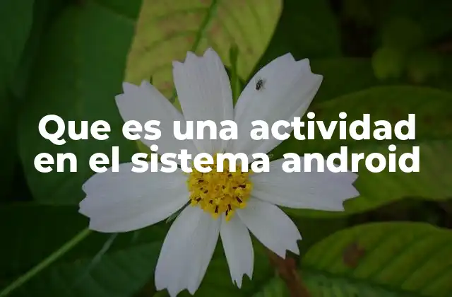 Que es una Actividad en el Sistema Android