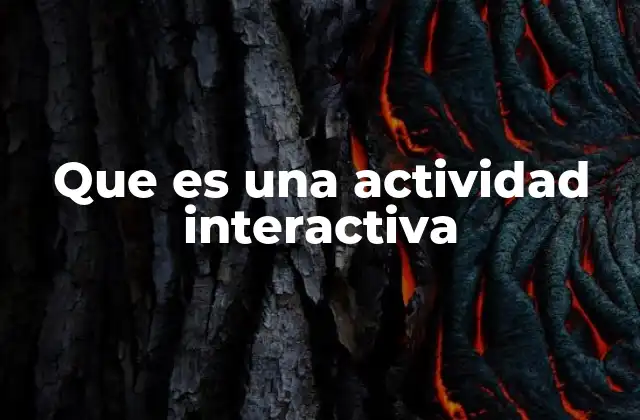 Que es una Actividad Interactiva