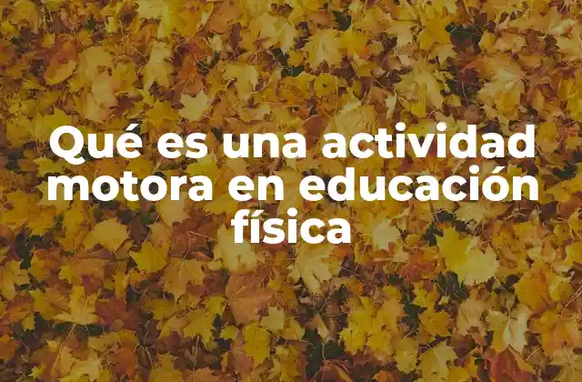 Qué es una Actividad Motora en Educación Física